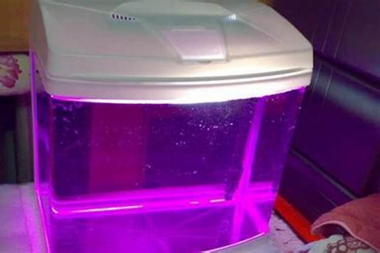 孔雀鱼水霉病怎么治疗