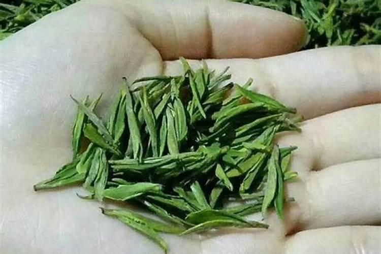玉米底肥的正确使用方法
