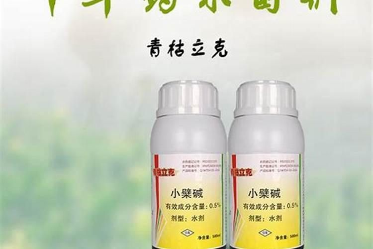 辣椒叶面喷施绿得钙作用与功效