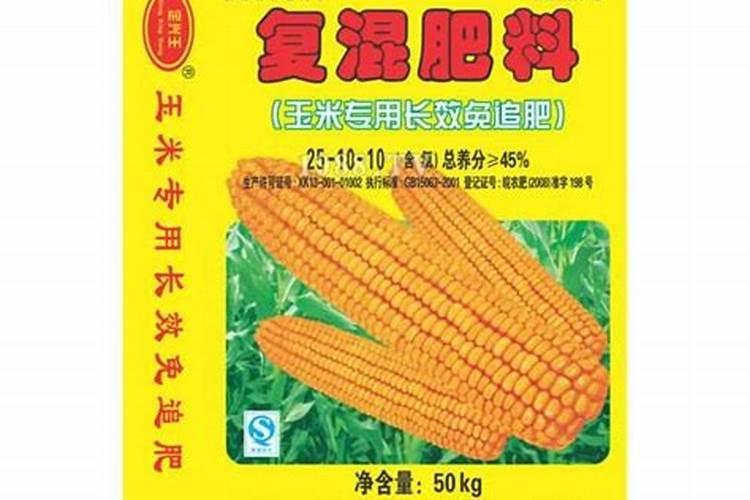 三角梅用什么土最好(详解三角梅的养护要点)