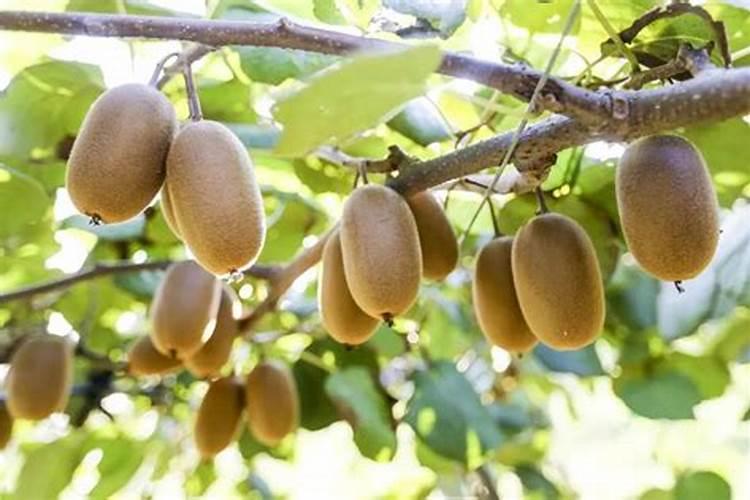 甘肃瓮福化工有限责任公司怎么样？