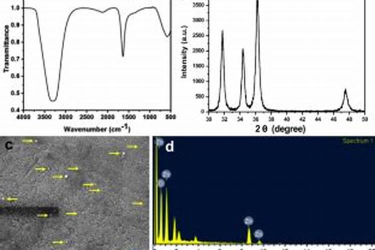 木瓜树干可以吃吗木瓜树的果子能吃吗木瓜树上结的木瓜能吃吗