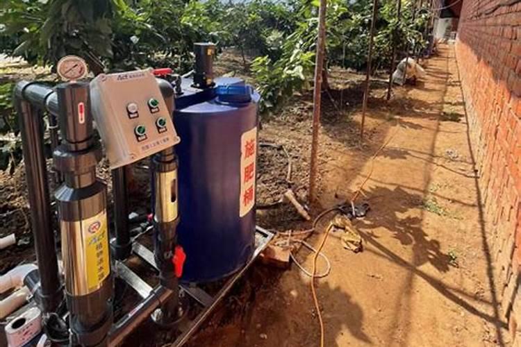 水溶肥排名前十位的有哪些品牌