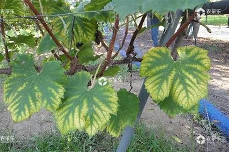 工商故宫红卡是什么卡