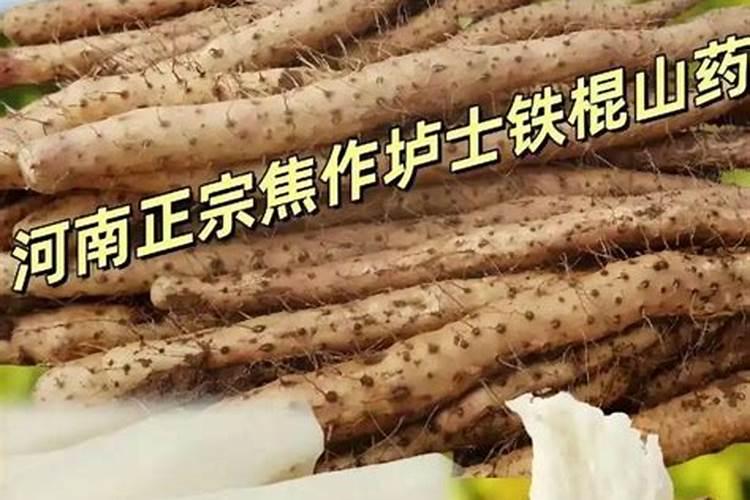 芥菜的栽培方法及养护技巧