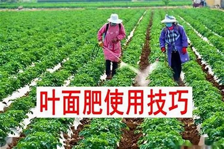 误食了好丽友木糖醇里面干燥剂怎么处理？