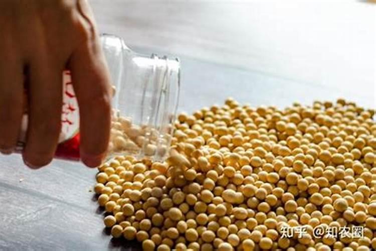 膨大剂哪个肥料好？膨果用什么肥料好？什么肥可以果实膨大？