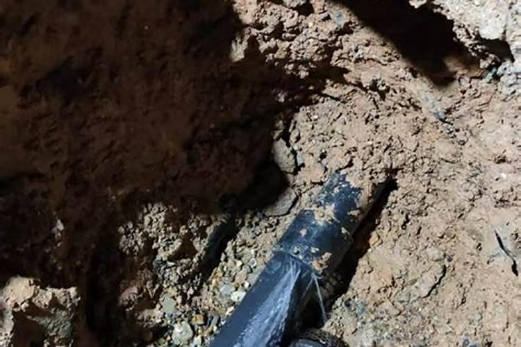 大蒜底肥用啥肥料,每亩用多少最好