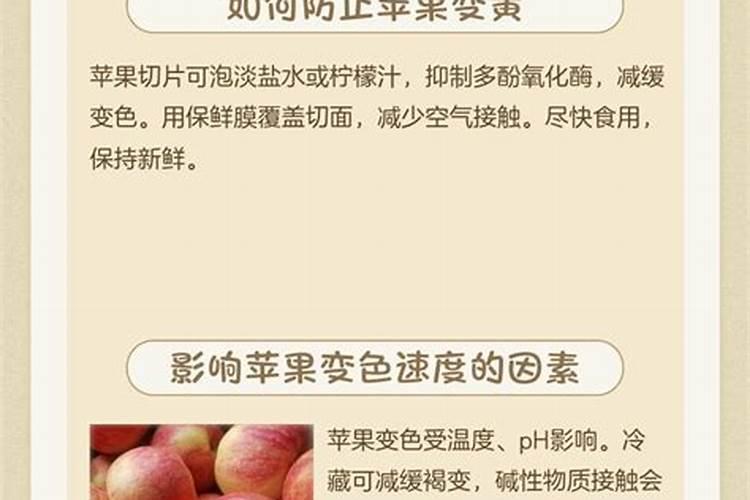 番薯藤怎么做好吃