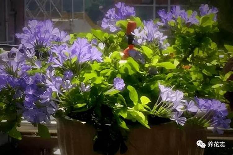 唐河属于哪个地区