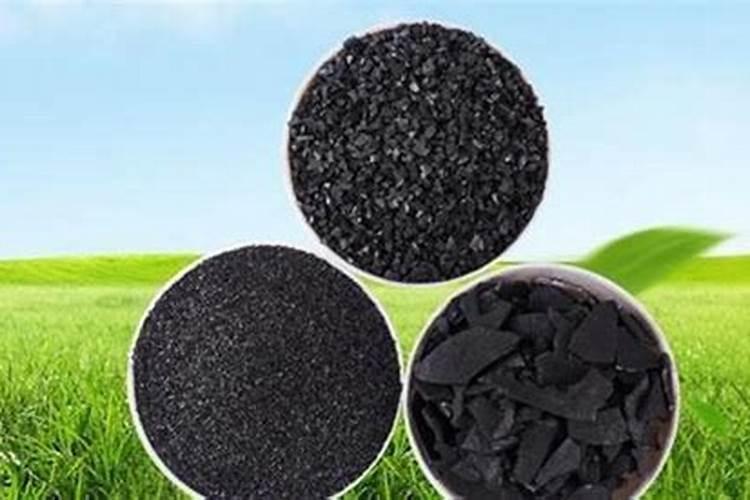 早春毛豆的育苗技术是什么