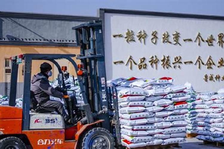 青松建化的所属企业