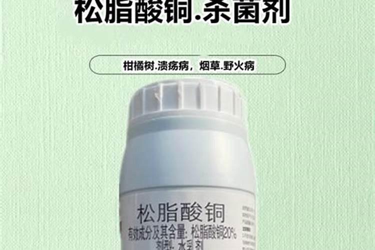 菜枯怎样发酵做肥料