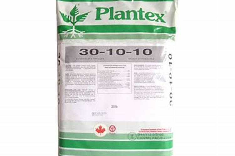 蔬菜大棚的种植与管理？