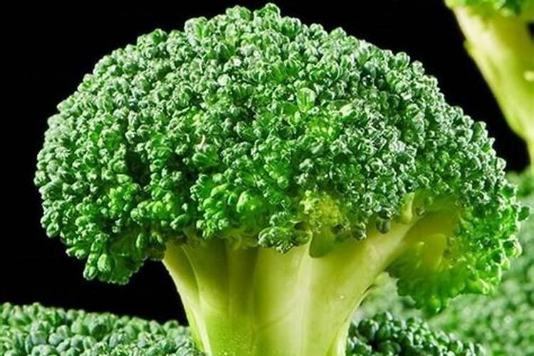 大蒜种植前底肥怎么用