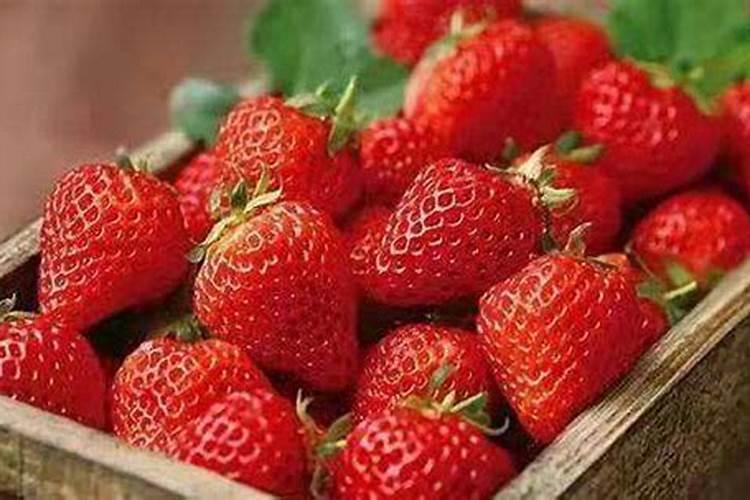 麦角酸二乙基酰胺危害