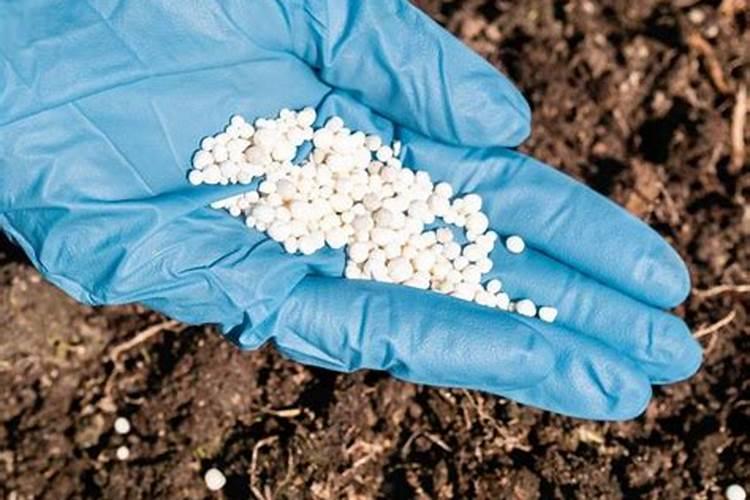 碳酸氢铵受热分解的问题