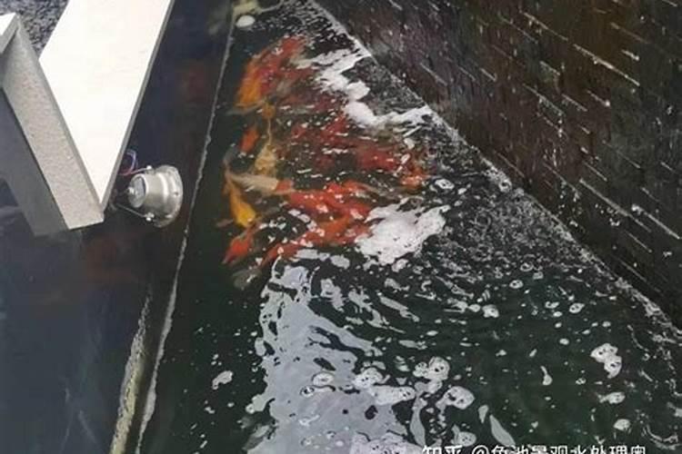 谁有提高大樱桃坐果的秘方