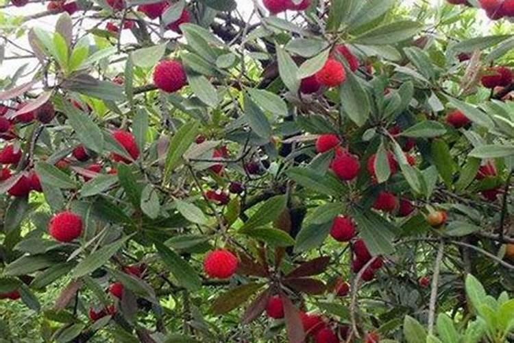 公益诉讼检察为未成年人成长保驾护航