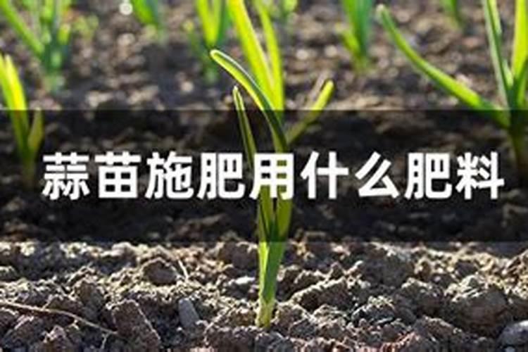 蒜苗底肥施什么肥好