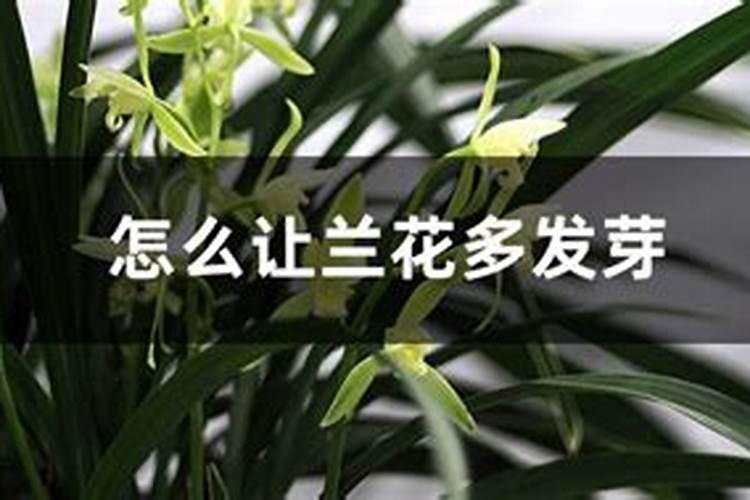 钾和氢、氧、氯、都能形成离子化合物吗？