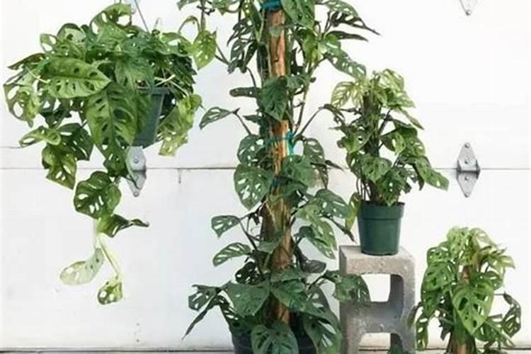 中国的稀土还够用多少年？