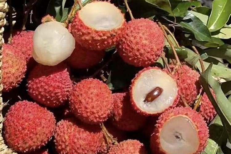 小麦青青大麦黄,风和日丽满地香(5首小满时节的田园风光)