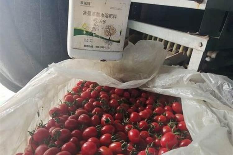 钾宝肥料作用是什么