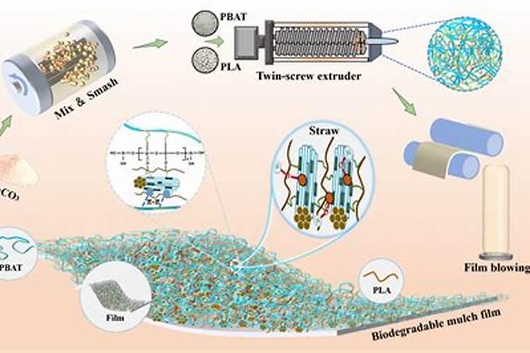 番茄栽培上应怎样覆盖地膜？