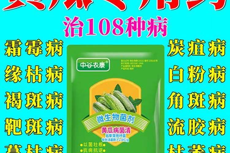 黄瓜叶斑病特效药
