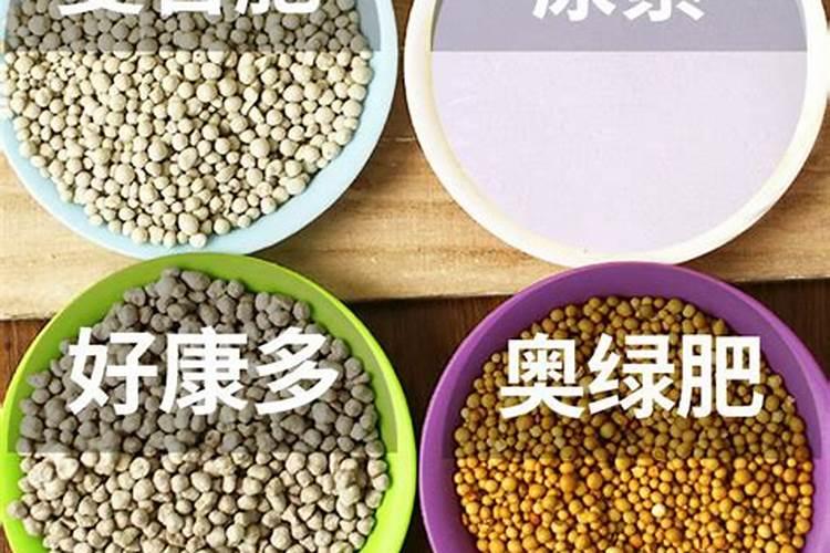 多肉植物用什么肥料复合肥可以吗