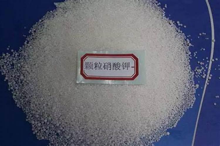 司普沃教您一招轻松解决西瓜缺硼症