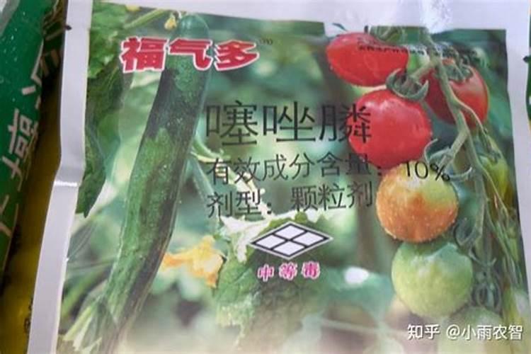 黄瓜的需肥规律特点和施肥技术(生长期施什么肥长得多)