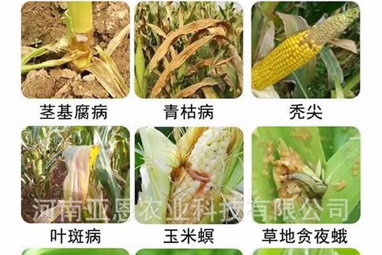 海口芳兴美盛气体有限公司怎么样？