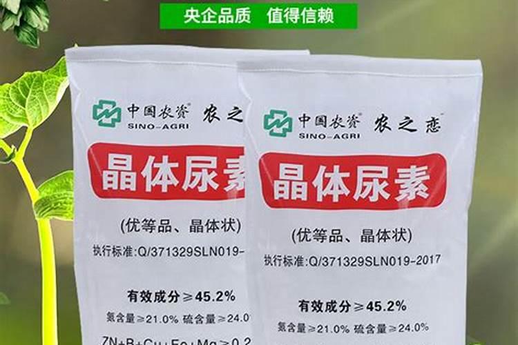 钙硼喷施最佳时间