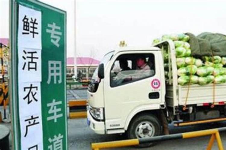 什么是辣椒