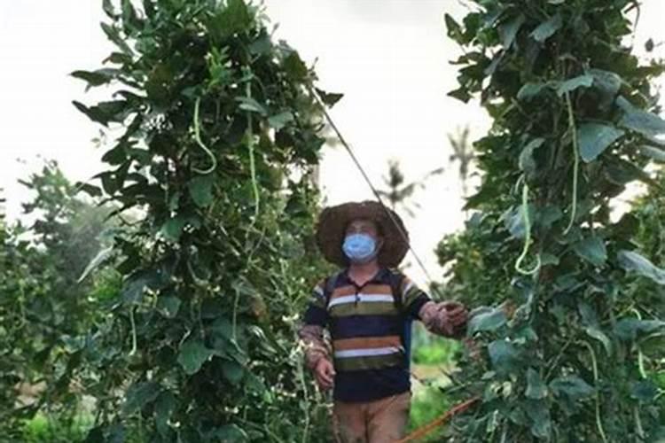 安徽芜湖无人机有哪些公司