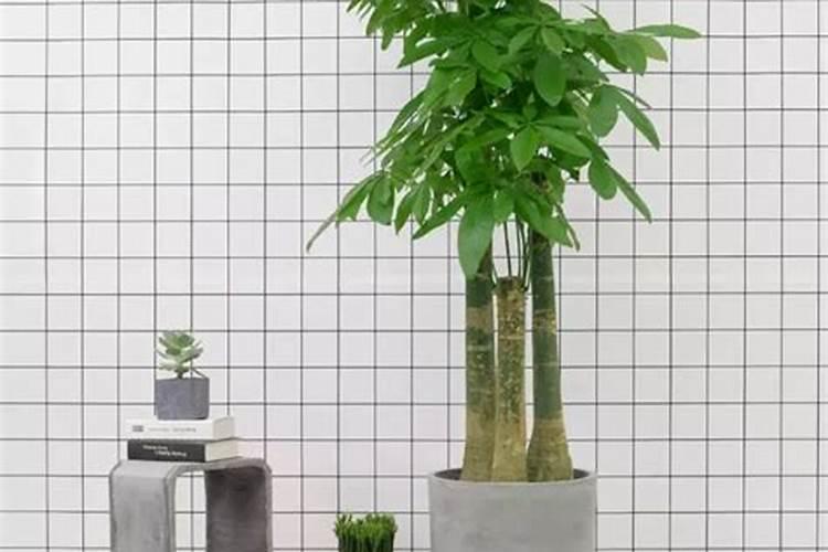 金正大二代缓释肥用的什么技术？