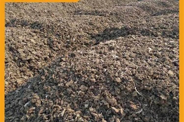 华北地区哪个有机肥厂家的规模最大质量最好呢？