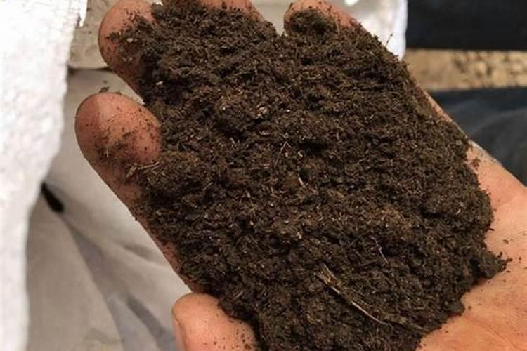 河北有机肥十大品牌 国内10大水溶肥品牌有哪些