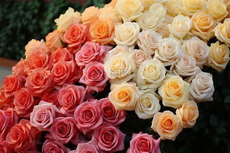 花生地里适合套种什么