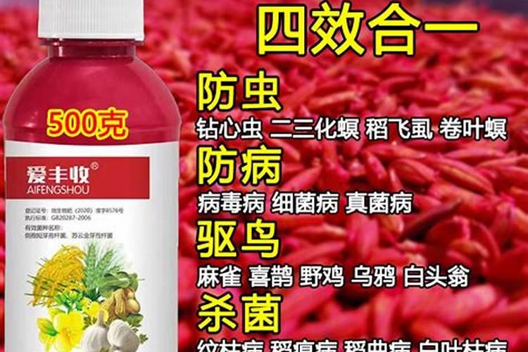 治疗果树根瘤病最好的是什么药？哪里能买到？