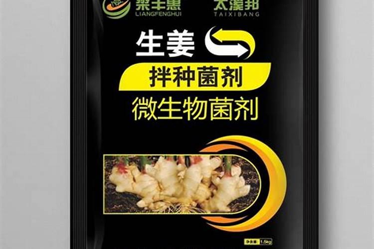 马龄薯拌种后多久种