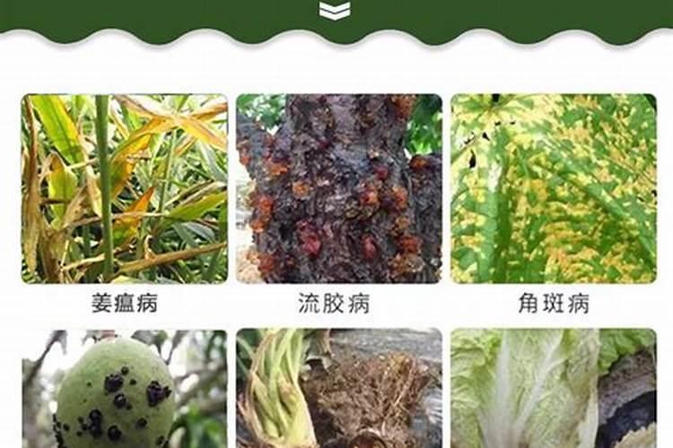 铜制剂到底是做什么用的