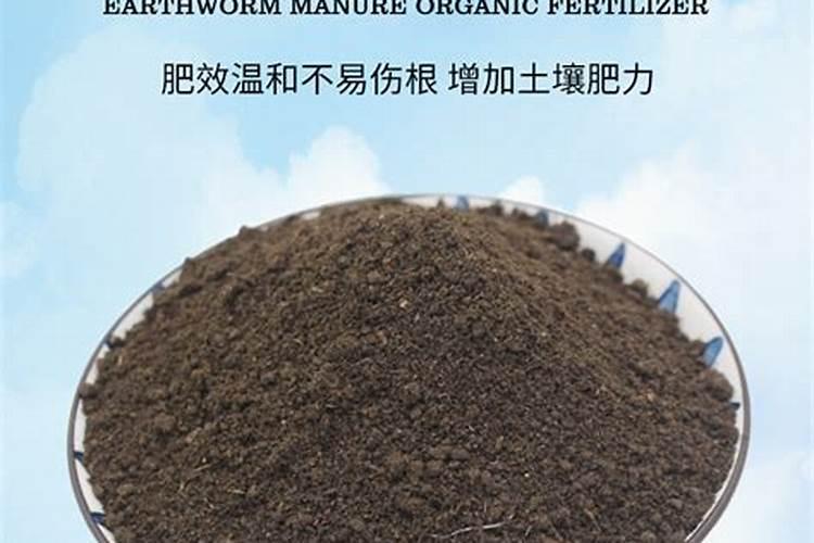 蚯蚓粪真的是有机肥之王吗？