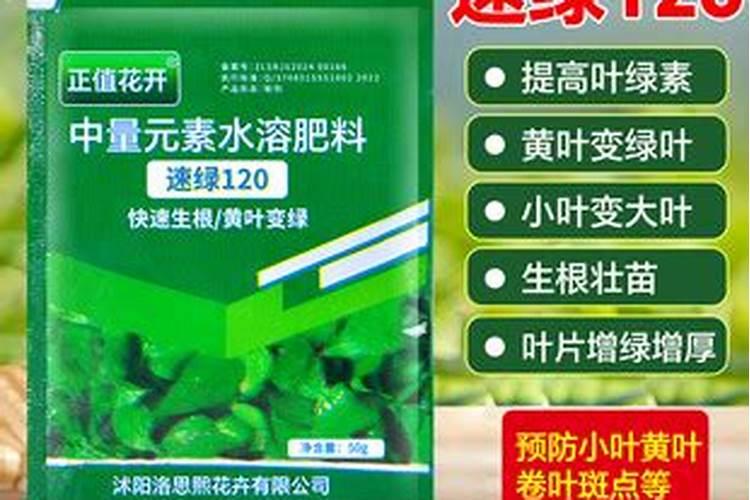 樱桃坐果的时候用什么肥料好