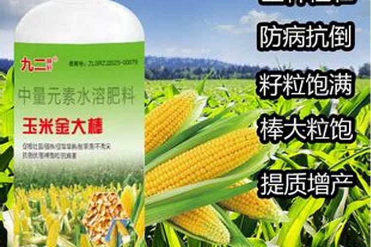 玉米金大棒叶面肥算不算控旺剂