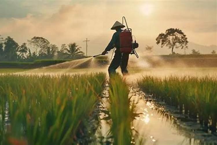 怎样判断兰花是否缺水