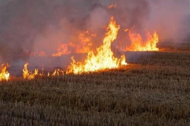 粮食价格进一步升高 加剧全球粮食安全问题