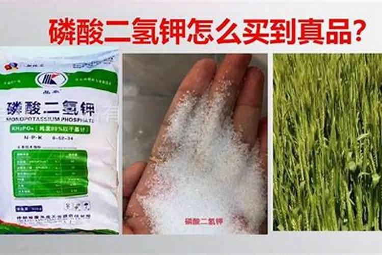 磷酸二氢钾怎样辩别真假
